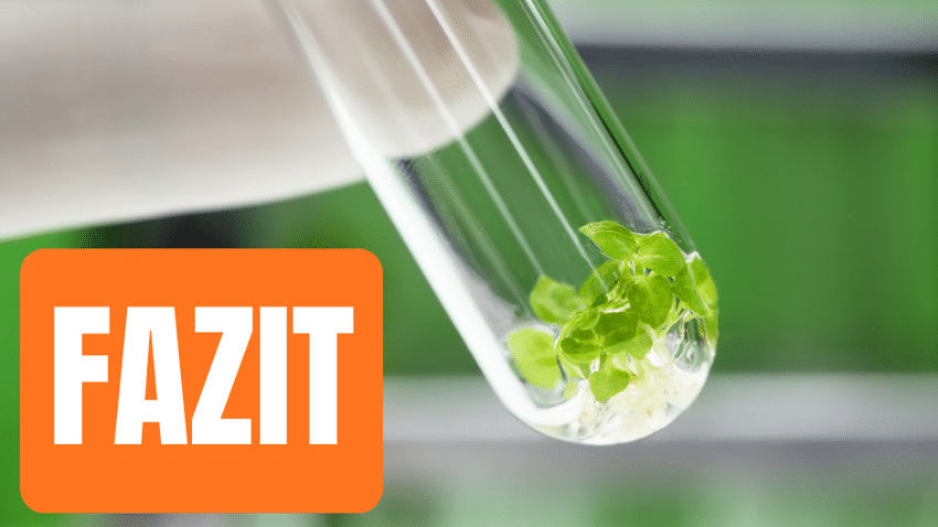 Antwort zur Frage, was sich durch die Einführung Neuer Genomischer Techniken (NGT) für die Landwirtschaft und Verbraucher ändert