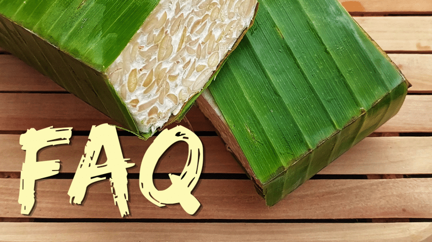 FAQ | Häufige Fragen zu selbst gemachtem Tempeh