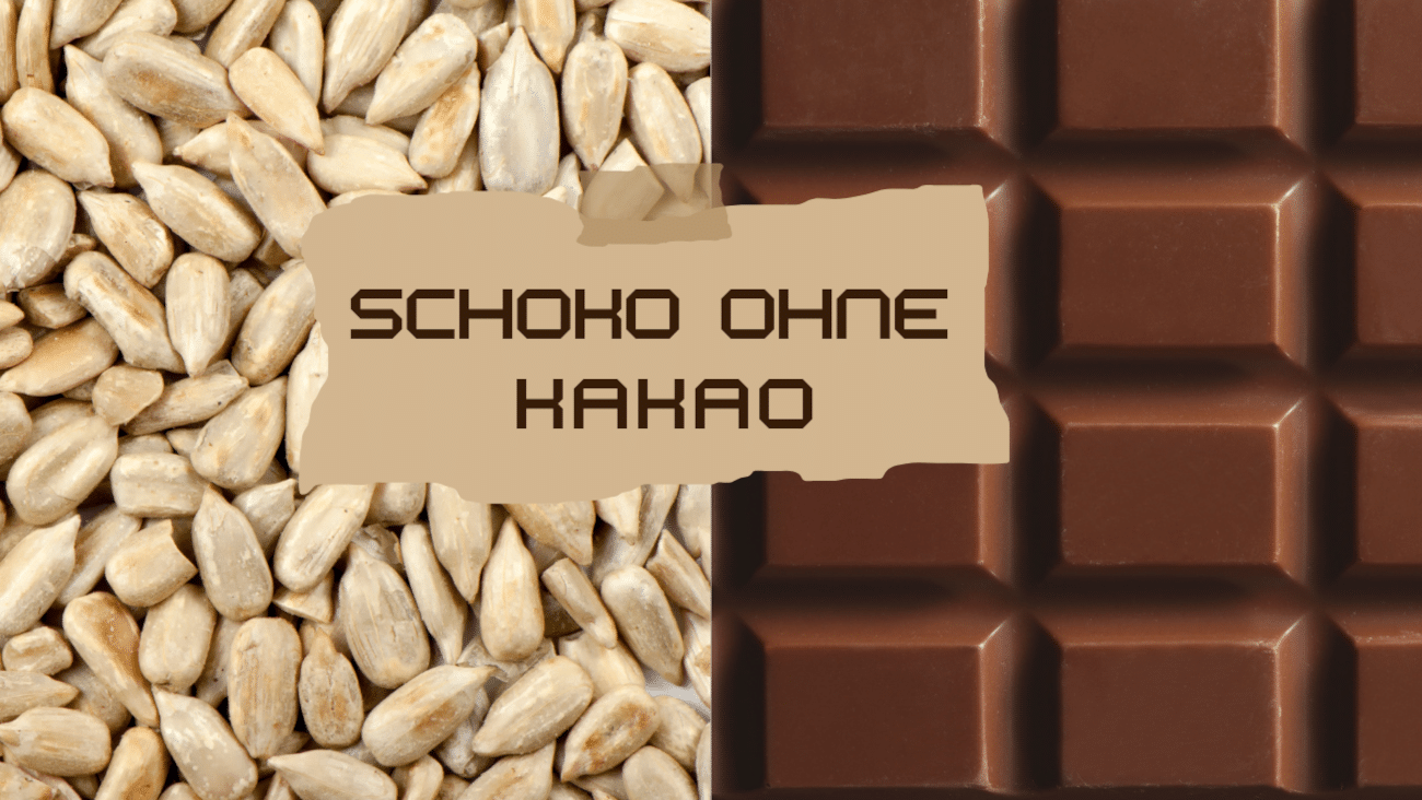 Schokolade ohne Kakao | ChoViva + die Zukunft des Naschens