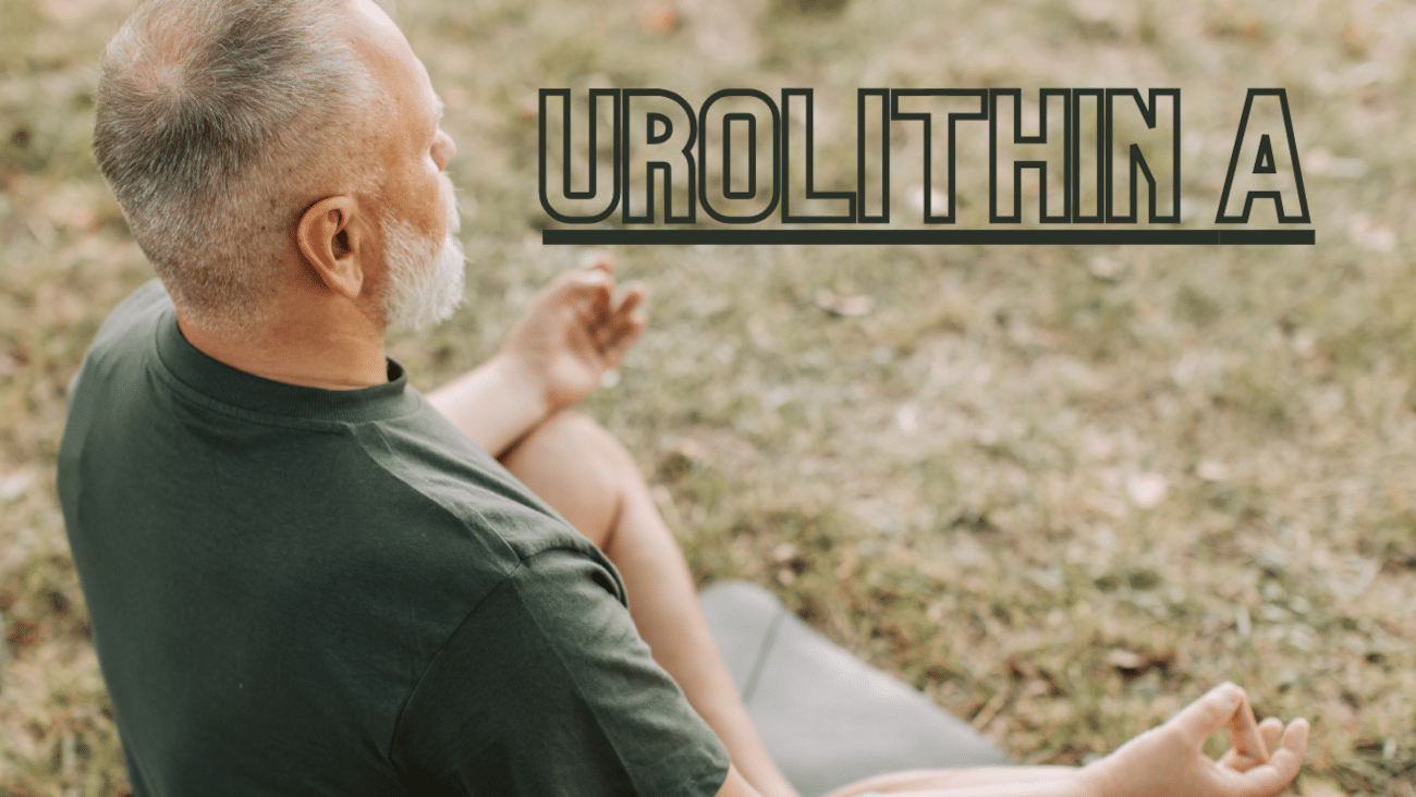 Urolithin A | Was kann der Longevity-Wirkstoff wirklich?