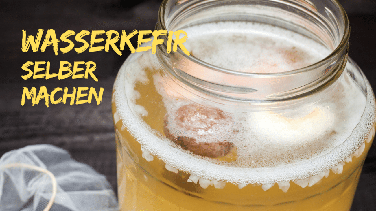 Wasserkefir selber machen | Anleitung für Anfänger mit Fehler-Check
