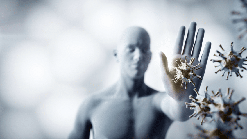 Verjüngt Urolithin A das Immunsystem?