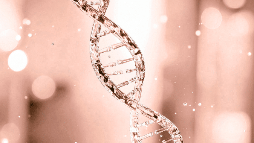 Was ist Lachs-DNA in Hautpflege?