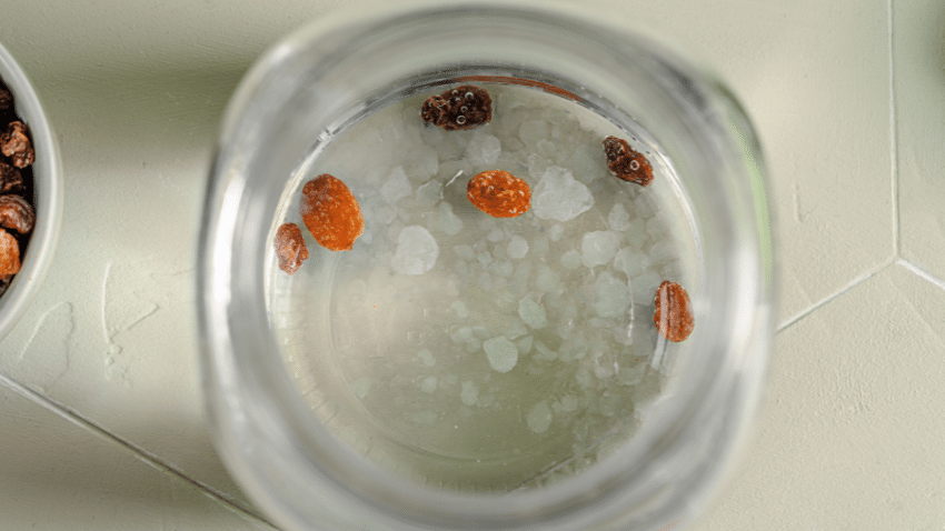 Wie lange hält selbst gemachter Wasserkefir?