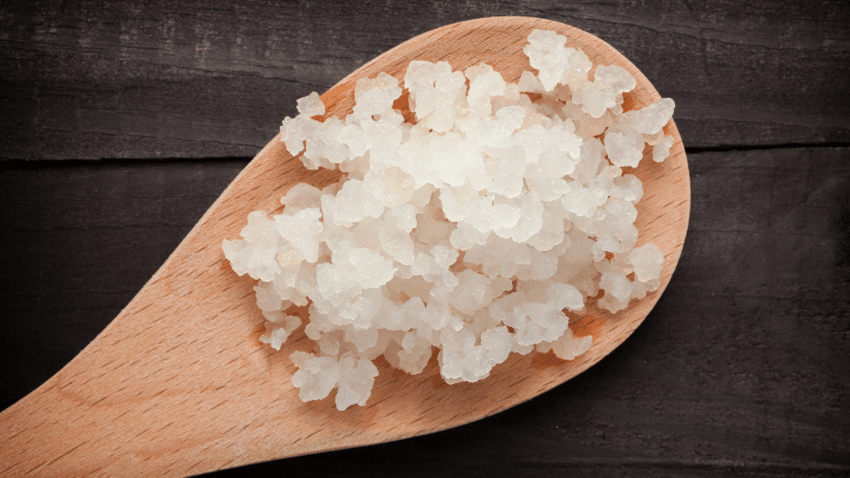 Das braucht man für deinen ersten Wasserkefir
