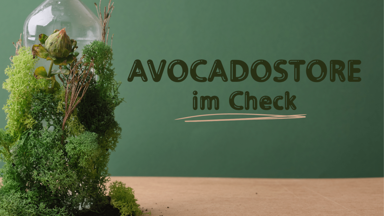 Avocadostore Erfahrungen | Wie gut ist der Shop wirklich?