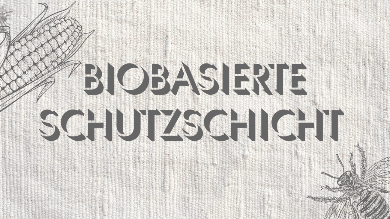 Maisprotein statt PFAS | Neue Beschichtung macht Baumwolle wasserabweisend