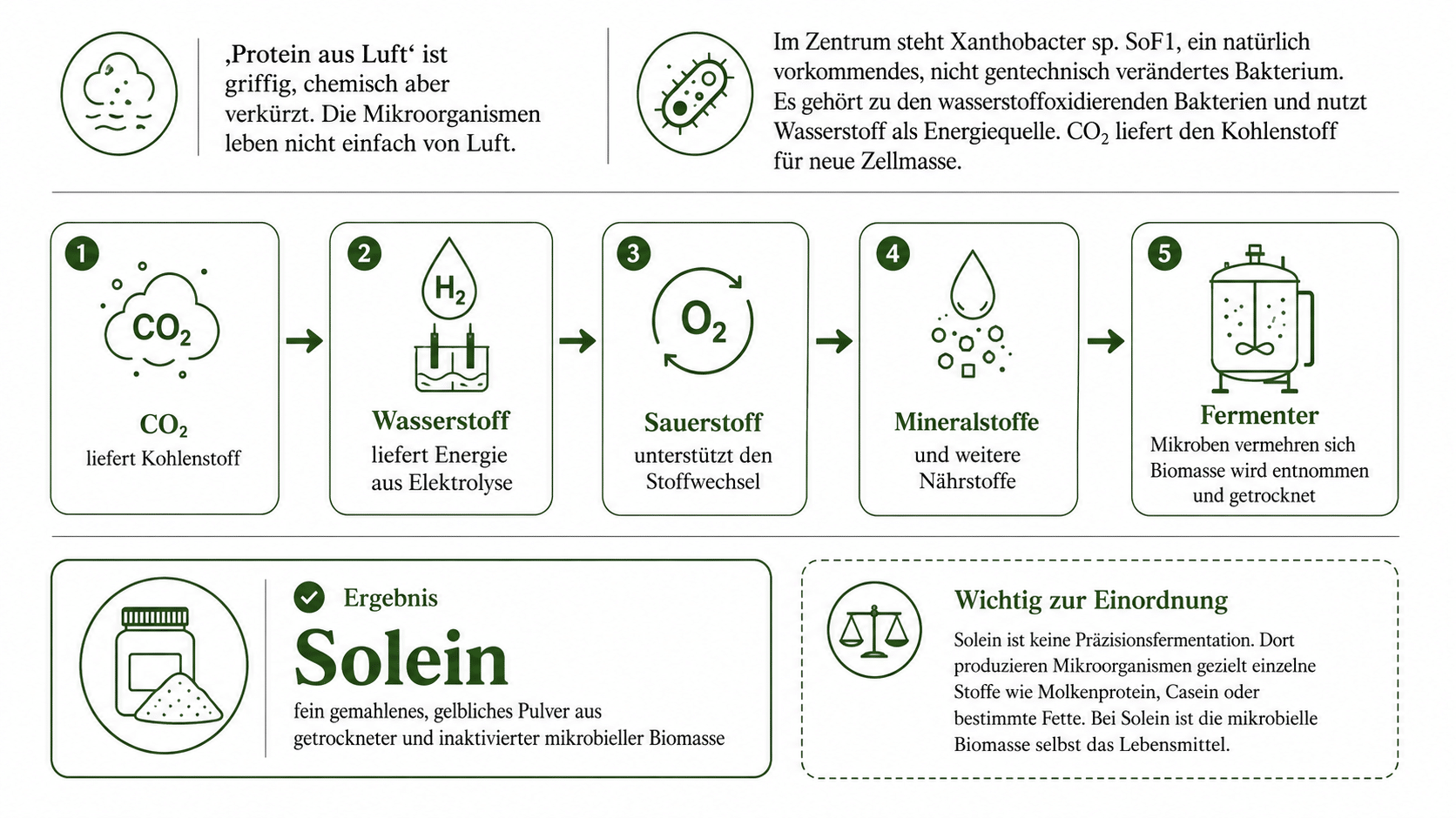 Herstellungsprozess von Solein