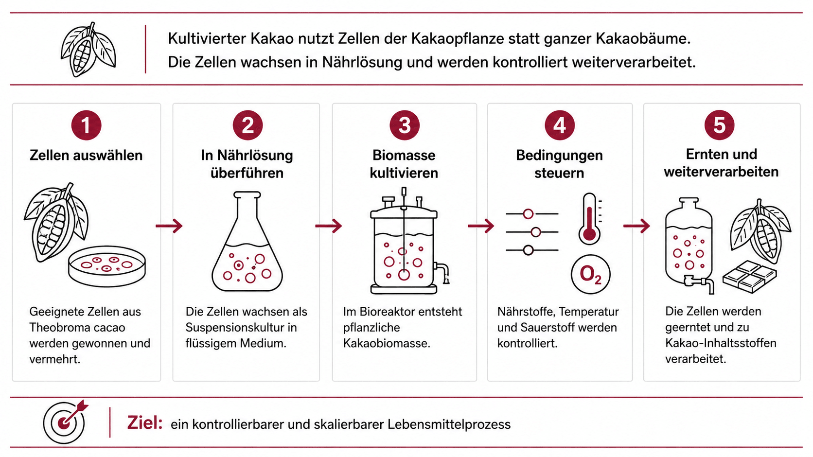 Kakao aus Pflanzenzellen statt vom ganzen Baum