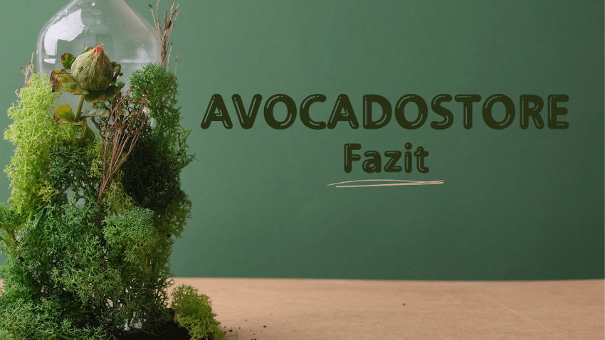 Testergebnis Avocadostore
