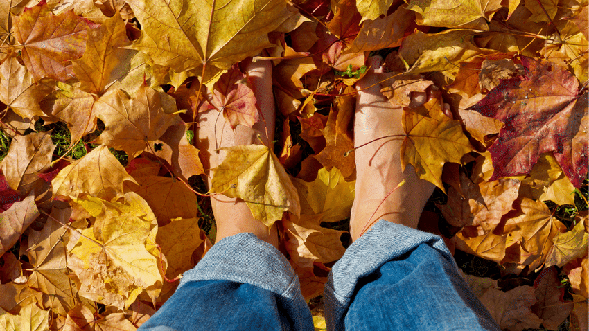6 schöne vegane Barfuß-Sneaker für den Herbst im detaillierten Vergleich