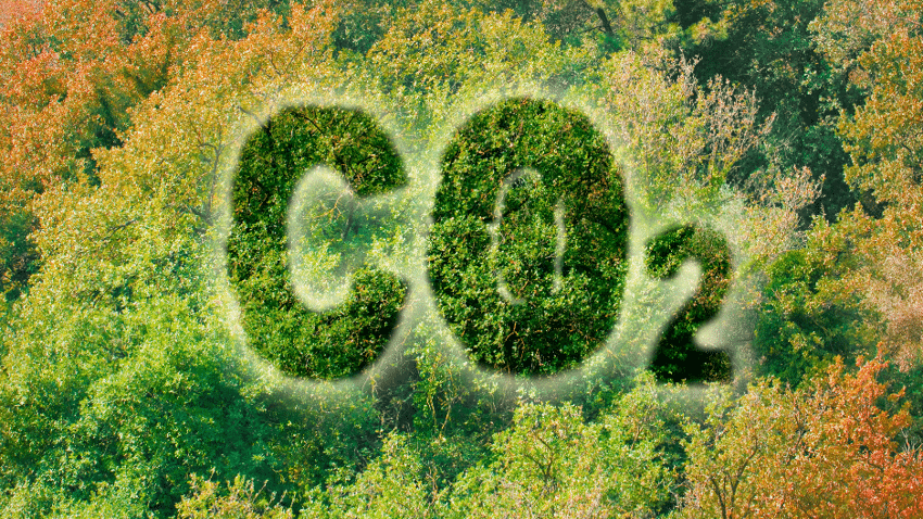 Wie speichert Pflanzenkohle CO₂ im Beton?