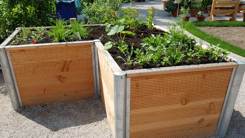 Was ist an den bio-garten.at-Hochbeeten besonders?