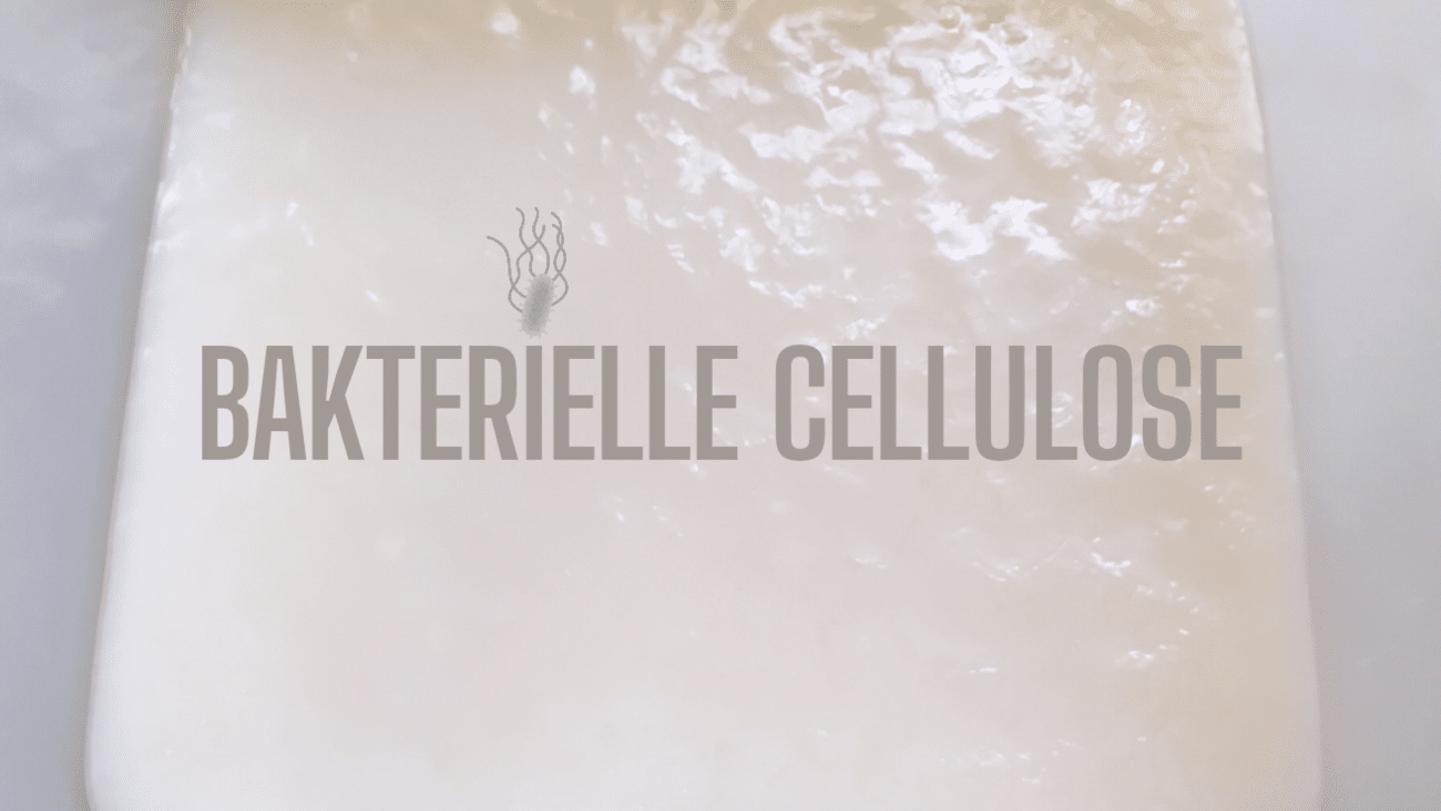 Bakterielle Cellulose | Wie Bakterien ein Hightech-Material wachsen lassen