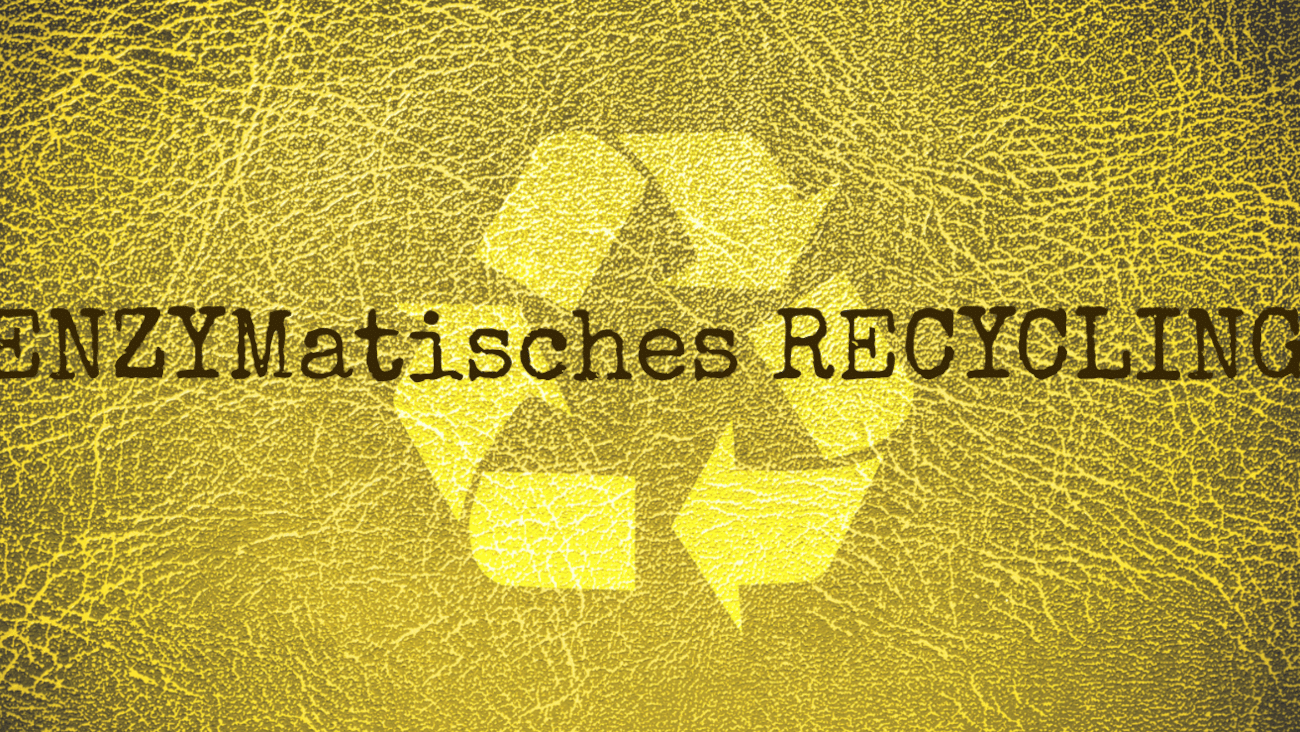 Enzymatisches Recycling | Wie Enzyme Polyester in neue Rohstoffe zerlegen