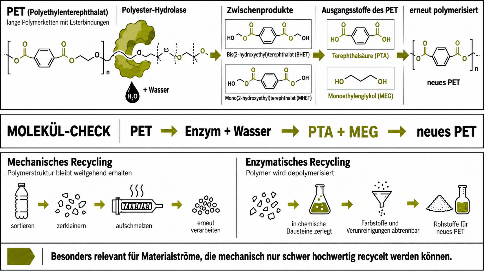 Polyester rückwärts | Was macht das Enzym eigentlich?