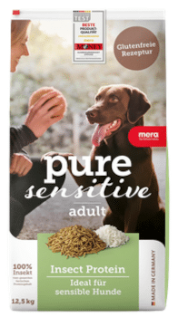 Schwarzer Hund beim Laufen im Grünen als Motiv für Hundefutter mit Insektenprotein und eine nachhaltige, ressourcenschonende Hundeernährung.