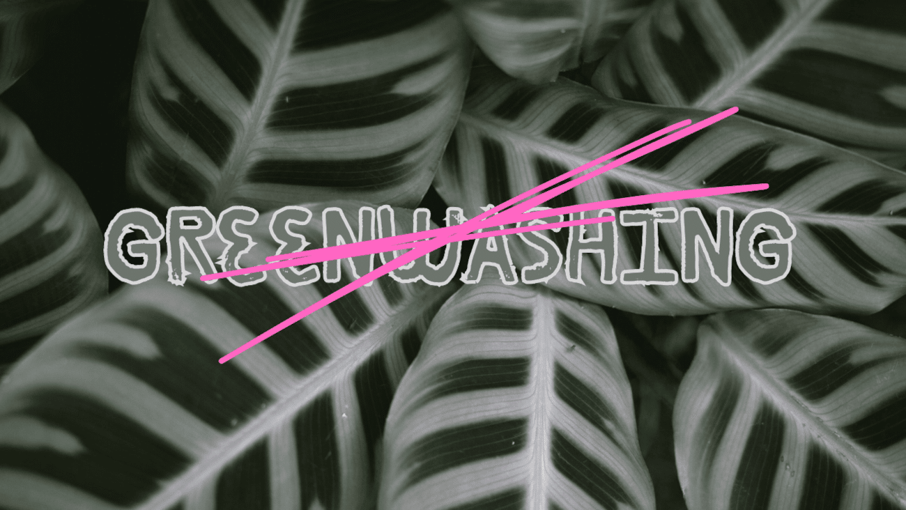 Neue Greenwashing-Regeln | Was bei „klimaneutral“ & Co. jetzt gilt