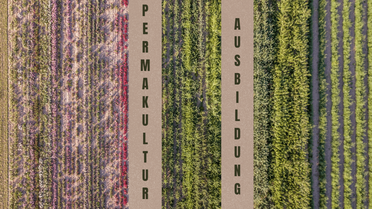 Permakultur-Ausbildung online | Anbieter, Kosten + Unterschiede