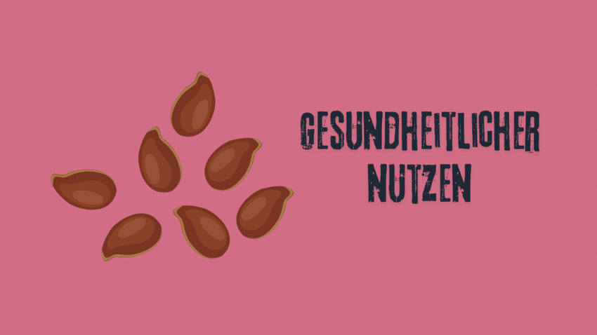 Wissenschaftliche Studien und Beweise für den gesundheitlichen Nutzen von Ballaststoffen