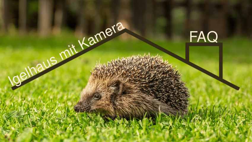 FAQ zum Igelhaus mit Kamera