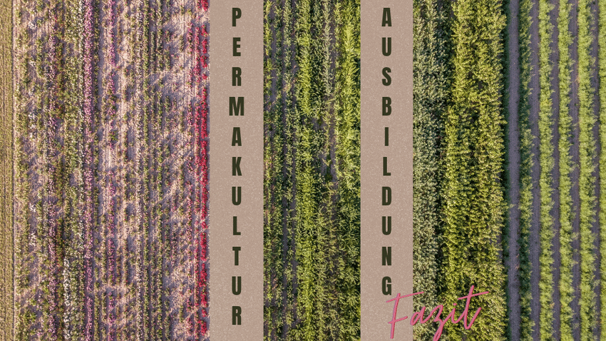 Unser Fazit zur Permakultur-Ausbildung online