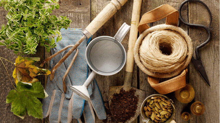 Nachhaltige Geschenke für Gartenliebhaber | Darauf solltest du achten