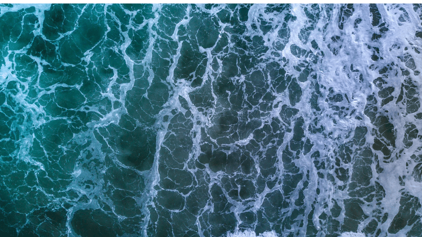 Neue Studien zeigen Chancen + Grenzen der CO₂-Speicherung im Meer